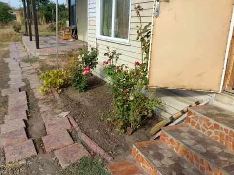 участок по адресу СК Виноградар, 100