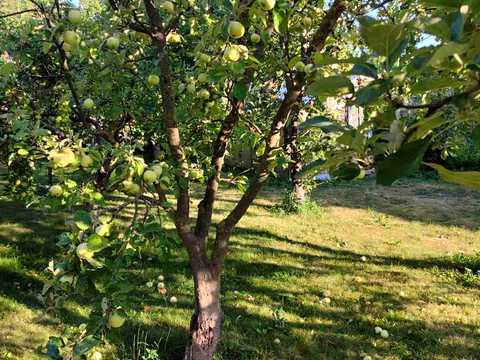 будинок за адресою Чернігів, 2-й Кривоноса пров., 34
