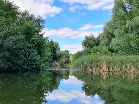 участок по адресу Тризубівська