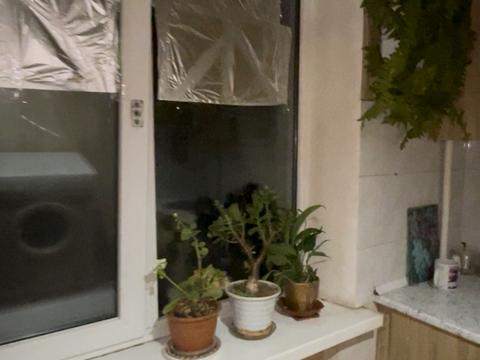 квартира по адресу Горького ул., 19