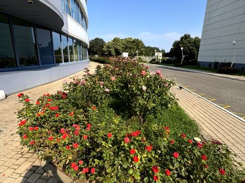 квартира за адресою Літературна вул., 1а