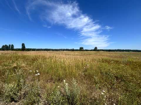 ділянка за адресою Наталії Ужвій, 56