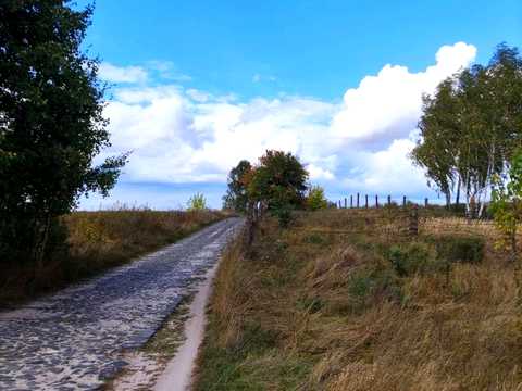 участок по адресу Чайки