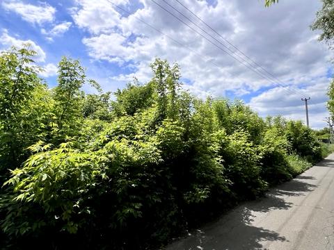 ділянка за адресою Свято-Покровська вул. (Леніна)
