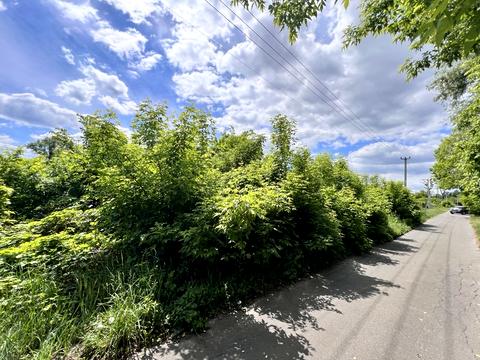 ділянка за адресою Свято-Покровська вул. (Леніна), 360