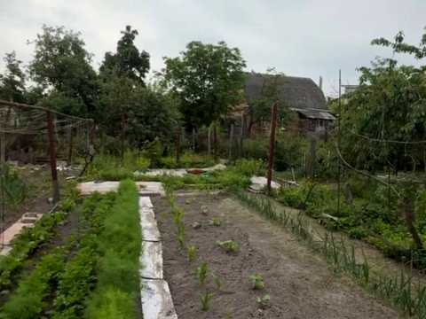 ділянка за адресою Володимира Дурдуківського вул., 43