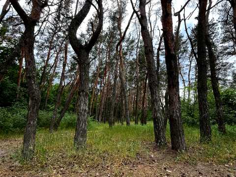 будинок за адресою Новостепова вулиця