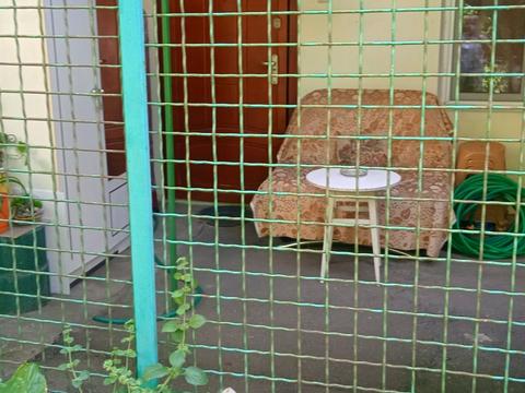 квартира по адресу Пастера ул., 54
