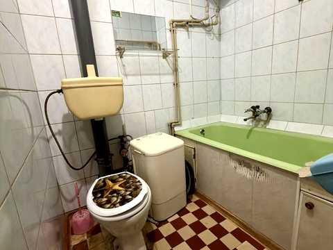 квартира по адресу Богоявленский просп. (Октябрьский), 12-А