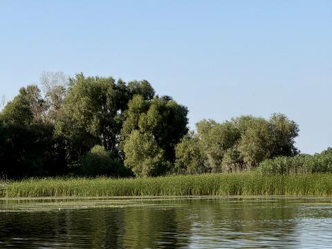 ділянка за адресою с. Лозівок, шевченка