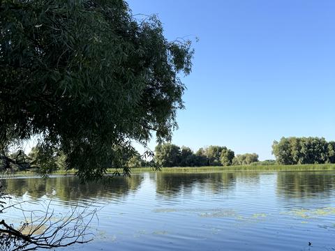 ділянка за адресою с. Лозівок, шевченка