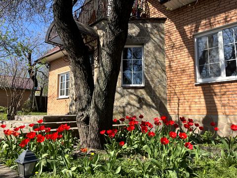 будинок за адресою Архітектора Вишневського вул. (Федосєєва)