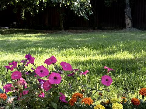 будинок за адресою Архітектора Вишневського вул. (Федосєєва)