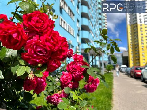 квартира за адресою Приміська вул., 26