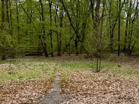 участок по адресу Лісова ул.