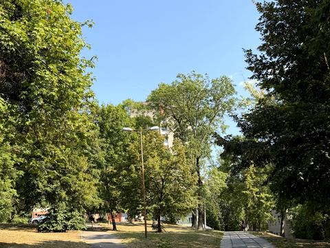 квартира за адресою Іллі Мечникова вул., 16-Ж
