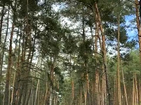 дом по адресу Клавдії Радченка ул.