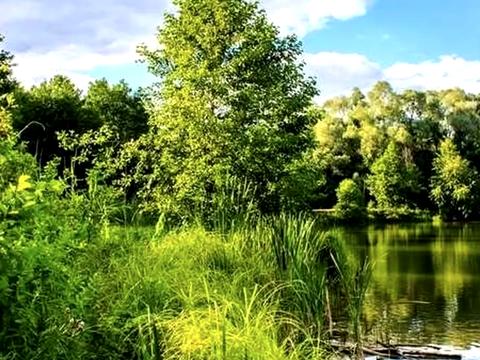дом по адресу Клавдії Радченка ул.