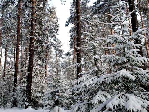 дом по адресу Клавдії Радченка ул.