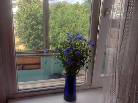 квартира за адресою Новокримська вул., 4-А