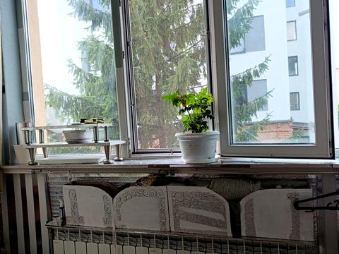квартира за адресою Миколи Міхновського вул. (Ганни), 19/21