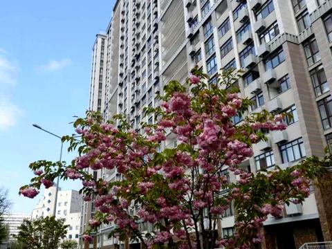 квартира за адресою Кахи Бендукідзе вул., 2