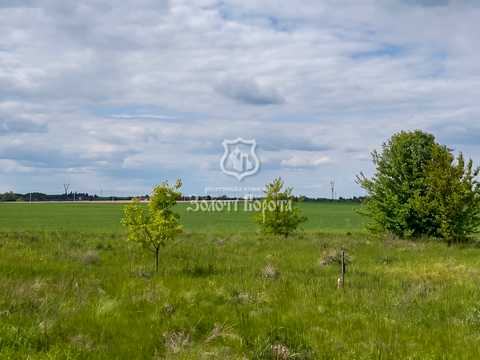 участок по адресу Лікаря Спасіченка вул., 5