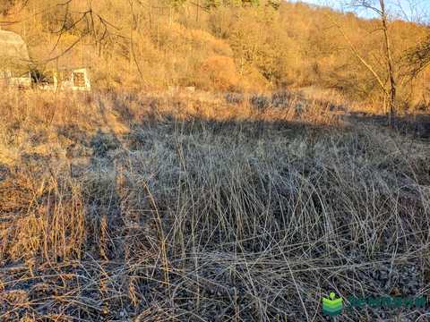 ділянка за адресою с. Вовчинець,