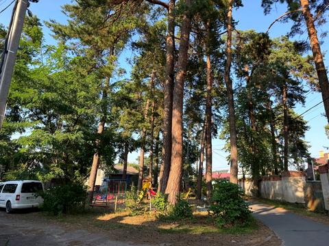 ділянка за адресою смт. Брюховичі, Соснова Поляна вул., 4