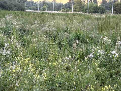ділянка за адресою Парненська вулиця