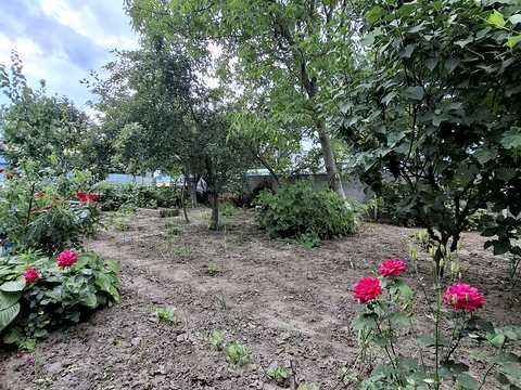 дом по адресу Крутой спуск, 7