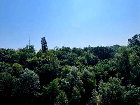 квартира по адресу Рижская ул., 73-Г