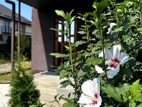 будинок за адресою Вінниця, Архітектурний пров.