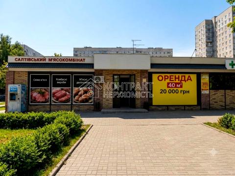 комерційна за адресою Біблика вул. (2-ї П'ятирічки), 1б