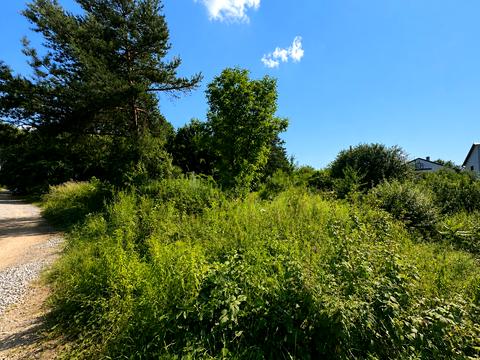 ділянка за адресою Бірківська вул.