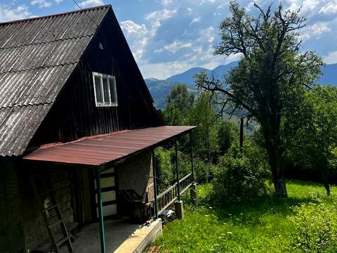 будинок за адресою Новоселиця, 68