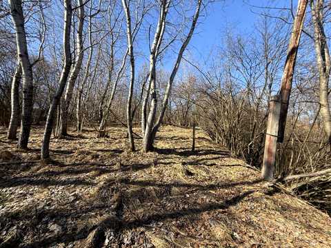 ділянка за адресою Зарічна вул.