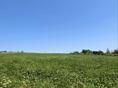 ділянка за адресою Чернівці,