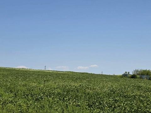 ділянка за адресою Чернівці,