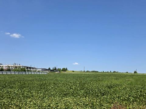 ділянка за адресою Чернівці,