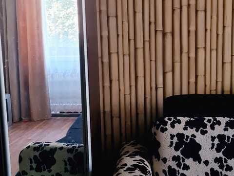квартира по адресу Владислава Зубенко ул. (Тимуровцев), 68