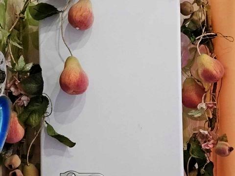 квартира за адресою Придніпровська вул., 1