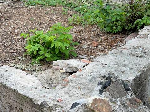 дом по адресу астрономічна, 21
