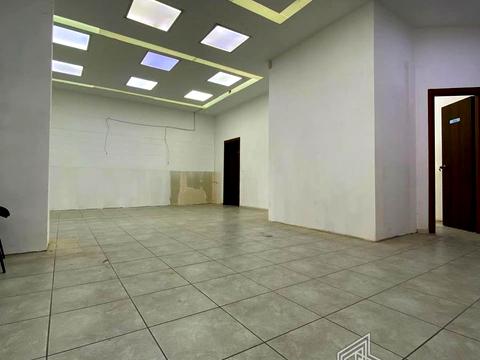 комерційна за адресою Раїси Окіпної вул., 10-А