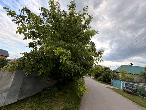 участок по адресу івана Богуна, 2