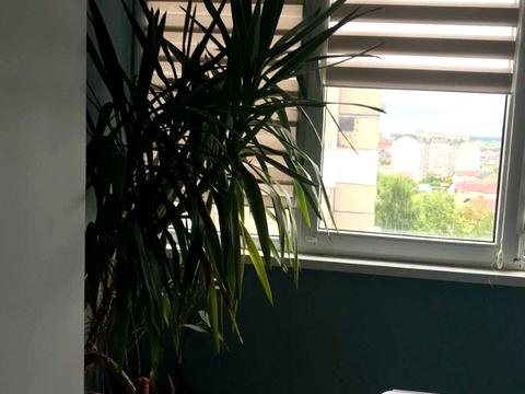 квартира за адресою Сихівська вул., 2