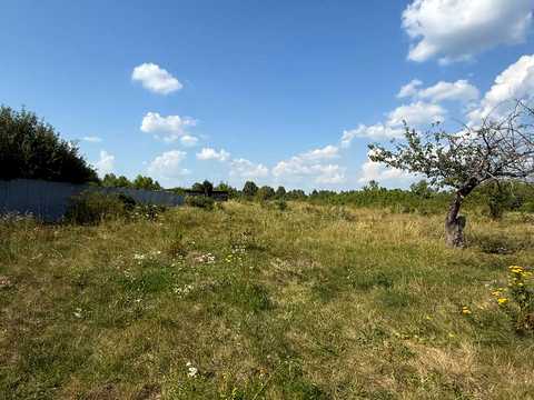 участок по адресу Центральна вулиця