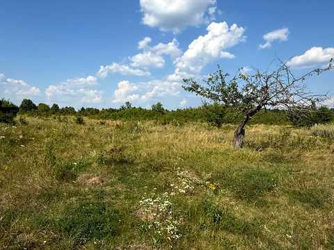участок по адресу Центральна вулиця