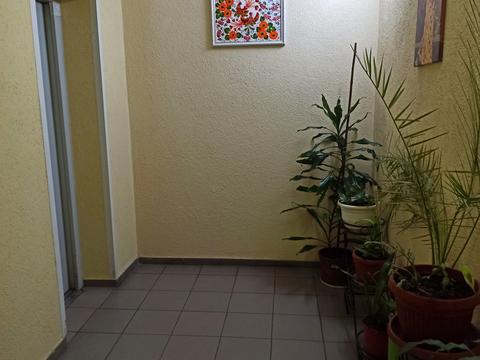 квартира по адресу Златоустовская ул., 50
