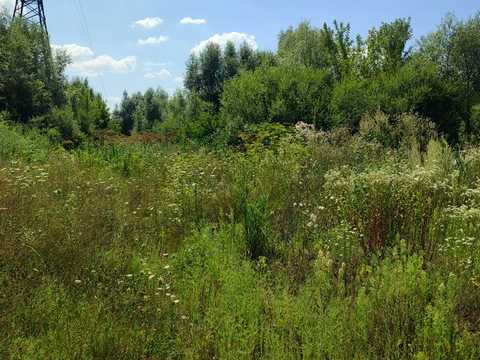 ділянка за адресою Хмельницький,